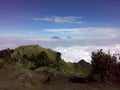 the view from the top of Mount Merbabu Royalty Free Stock Photo